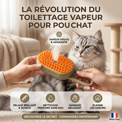 lave chat™-brosse a vapeur
