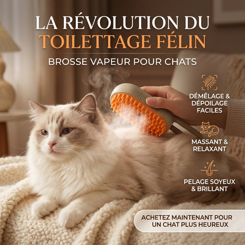 lave chat™-brosse a vapeur