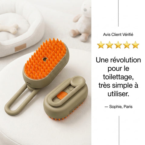lave chat™-brosse a vapeur